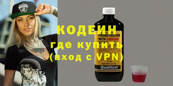 хмурый Вяземский