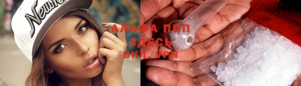 хмурый Вяземский