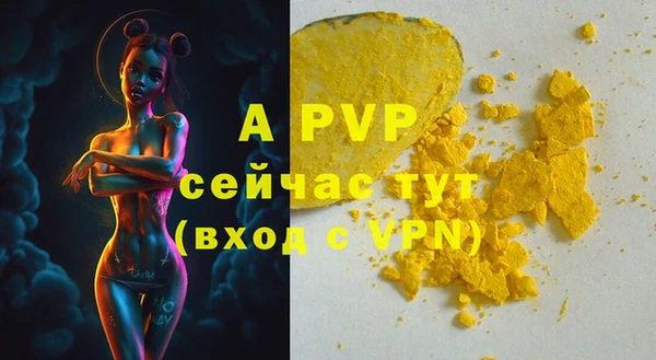 хмурый Вяземский