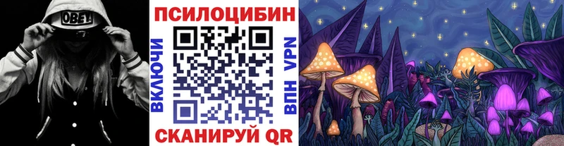 mega ссылка  Чердынь  Галлюциногенные грибы мицелий 